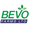 Bevo